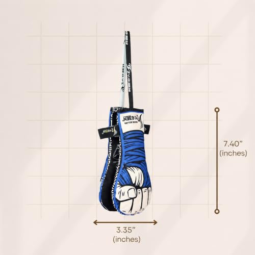 LIVEVIE Hygeen Activated Charcoal Glove Odor Absorber | 2-Pack Natural Deodorizer for Boxing, MMA & Gym Gloves | Long-Lasting Moisture Wicking Freshener for Routine Care, Blue - color: Blue
