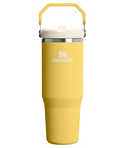 STANLEY IceFlow 2.0 Flip Straw Tumbler with Handle 30 oz | Twist On Lid and Flip Up Straw | Leakproof Water Bottle | Insulated Stainless Steel | BPA-Free | Daffodil - color: Daffodil, size: 30 Ounces