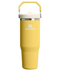 STANLEY IceFlow 2.0 Flip Straw Tumbler with Handle 30 oz | Twist On Lid and Flip Up Straw | Leakproof Water Bottle | Insulated Stainless Steel | BPA-Free | Daffodil - color: Daffodil, size: 30 Ounces