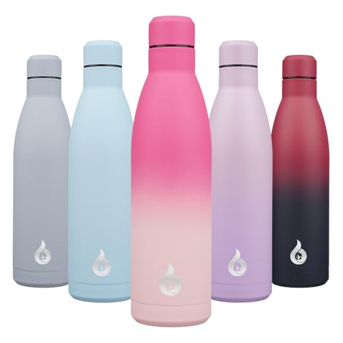 BJPKPK 25oz Insulated Stainless Steel Water Bottles Reusable Metal Travel Sports Water Bottle Keep Cold and Hot,Cherry - color: Cherry, size: 25 Ounces