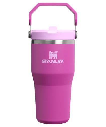STANLEY IceFlow 2.0 Flip Straw Tumbler with Handle 20 oz | Twist On Lid and Flip Up Straw | Leakproof Water Bottle | Insulated Stainless Steel | BPA-Free | Dark Blossom - color: Dark Blossom, size: 20 Ounces