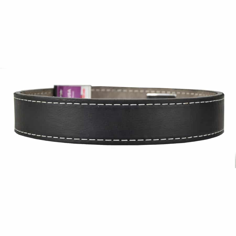 Titan Omega 2 inch Lever Bench Press Belt - size: 2XL