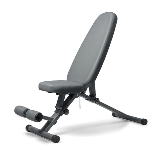 WeGym Fitness Bench, Adjustable, Collapsible, Comfortable, and Luxurious Home Gym Bench for Strength Training - color: Grey