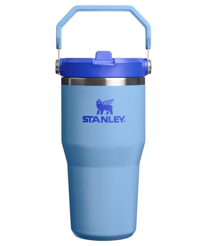 STANLEY IceFlow 2.0 Flip Straw Tumbler with Handle 20 oz | Twist On Lid and Flip Up Straw | Leakproof Water Bottle | Insulated Stainless Steel | BPA-Free | Blue Sky - color: Blue Sky, size: 20 Ounces