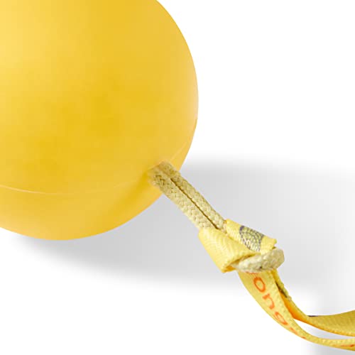Lacrosse Training Equipment and Trainer, Lacrosse Rebounders for Youth - color: yellow