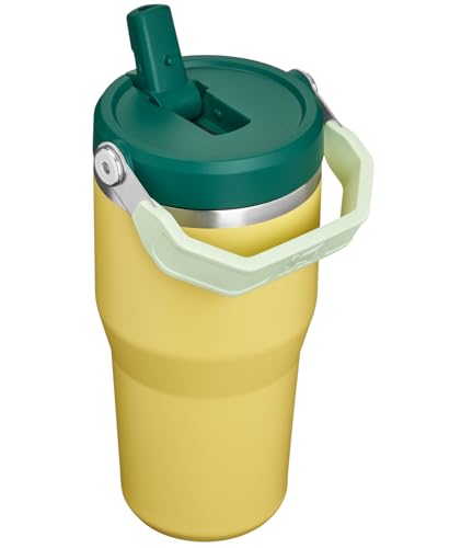 STANLEY IceFlow 2.0 Flip Straw Tumbler with Handle 20 oz | Twist On Lid and Flip Up Straw | Leak Resistant Water Bottle | Insulated Stainless Steel | BPA-Free | Daffodil Emerald - color: Daffodil Emerald, size: 20 Ounces