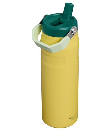 STANLEY IceFlow Flip Straw 2.0 Water Bottle 24 oz | Built-In Straw with Larger Opening | Lightweight and Leak Resistant | Insulated Stainless Steel | BPA-Free | Daffodil Emerald - color: Daffodil Emerald, size: 24 Ounces