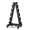 LIONSCOOL Premium Solid Steel Dumbbell Rack Stand Only, A-Frame Portable Weight Storage Organizer with Optional Tray and Wheels, Perfect for Home Gym Fitness Storage (200LBS/300LBS/700LBS Weight Capacity Available) - style: Large, 700 LBS