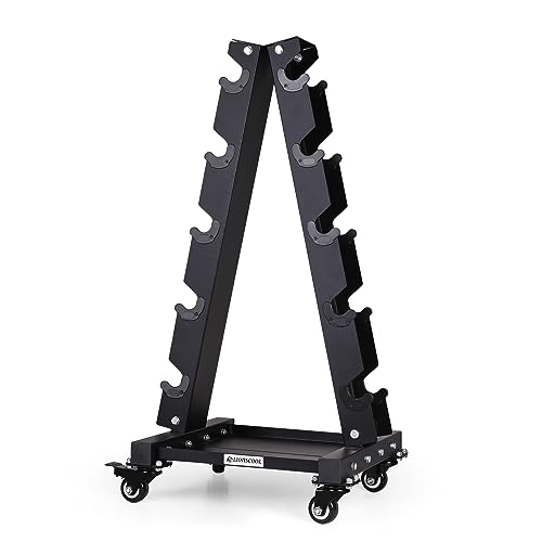 LIONSCOOL Premium Solid Steel Dumbbell Rack Stand Only, A-Frame Portable Weight Storage Organizer with Optional Tray and Wheels, Perfect for Home Gym Fitness Storage (200LBS/300LBS/700LBS Weight Capacity Available) - style: Large, 700 LBS