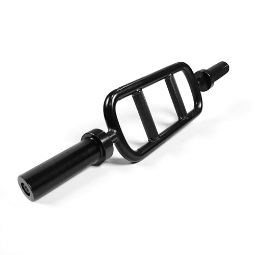 CAP 2-Inch Olympic Triceps Bar, Black, 200lb Capacity | Neutral-grip triceps bar, Olympic plate loading, Triceps extensions, Hammer curls and upper-body training