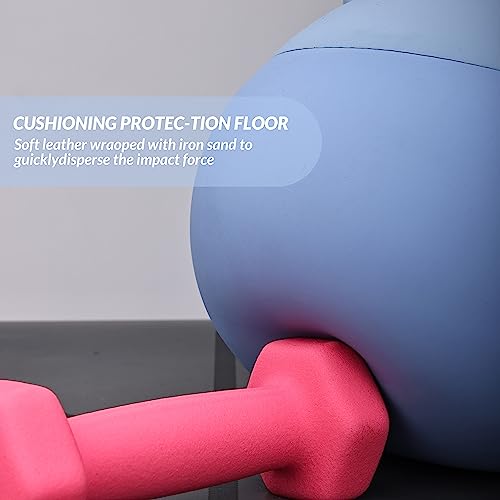 Signature Fitness Soft Kettlebells - Sea and Iron Sand Filled Weights for Women and Men - Color Coded Soft Vinyl Kettlebells, Multiple Sizes - style: D. 20-Pound