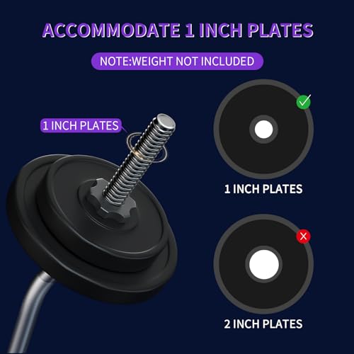 47" EZ Curl Bar Weight Lifting Bar, 1-inch Curling Bars for Weight lifting | Barbell bar for Hip Thrusts/Squats/Lunges for Gym and Home, With 2 Star Double Risk Star-nuts (220lb Weight Capacity) - color: Silver
