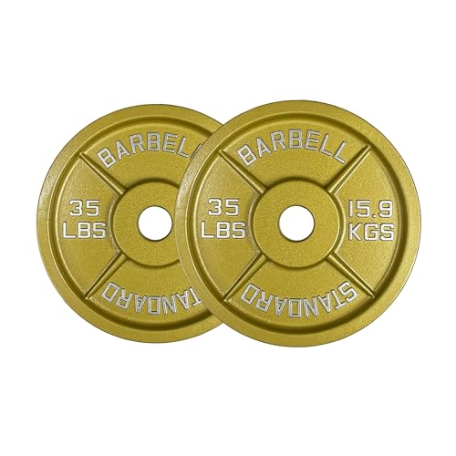 Gold Finish Olympic Steel Plates - Pairs and Sets 2 Inch Barbell Standard in Premium Gold for Weight Lifting - color: 10lb Pair