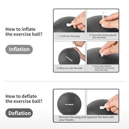 FITMIND_Pilates Ball 10 Inch Anti-Burst Slip Resistant Mini Yoga Ball for Fitness, Core Training, Physical Therapy, Balance, Stability, Stretching 200kg 440lbs Capacity - color: Black