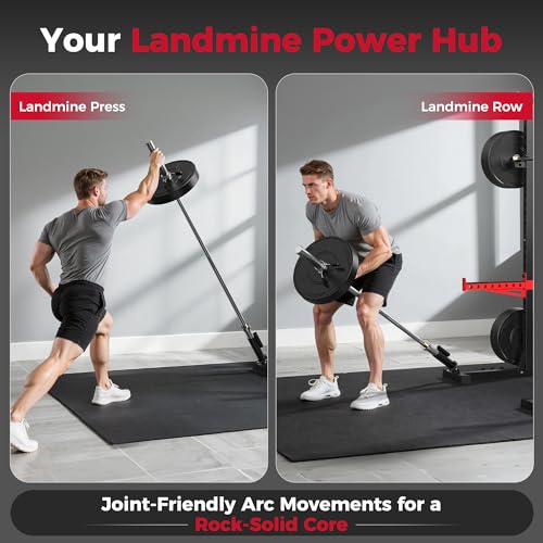 FLYBIRD SR1 Squat Rack with Pull-Up Bar, Adjustable Multi-Functional Power Rack, Inner Width Squat Rack Stand Suitable for 6FT,7FT Barbell for Home Gym Equipment - color: 180LBS Package