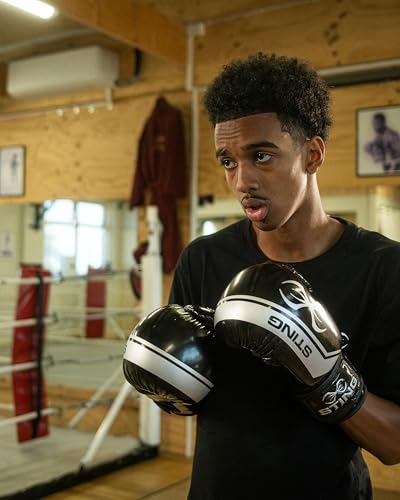 STING Armalite Boxing Gloves, Durable Boxing Equipment for Boxing Training, Balanced Weight Distribution | SLV3 Outer Skin, SAS Layering, Hi Flow Core Padding, Comfortline 3D Liner - color: Black/Silver, size: 10