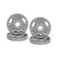 CAP Barbell Standard 1-Inch Grip Weight Plates - color: Gray, size: 2.5 lbs Plate Pack (x4)