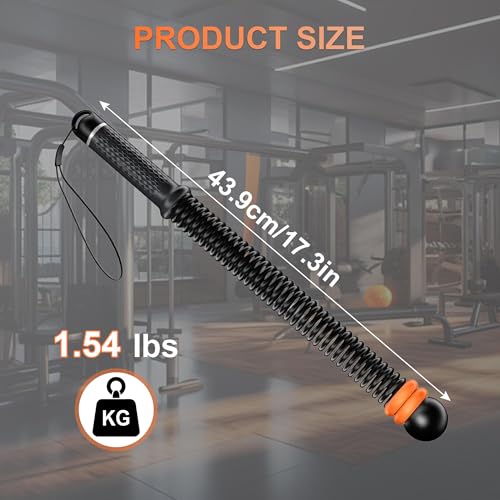 2pcs Adjustable Ropeless Battle Ropes for Home Gym, Weighted Cordless Battle Ropes for Home Workout, Portable Exercise Training Rope for Indoor and Outdoor (Black) - color: Black