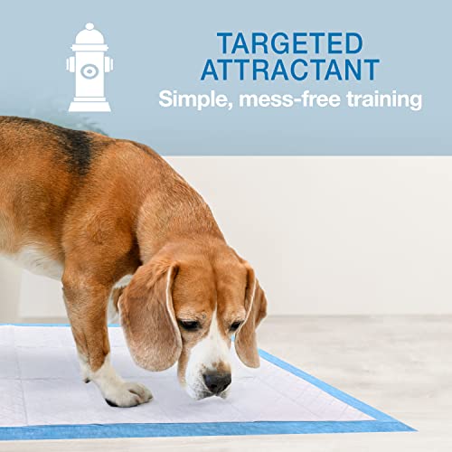 Four Paws Wee-Wee Superior Performance Unscented Pee Pads for Dogs & Puppies, Quilted Leak-Proof Dog Housebreaking Potty Training Floor Protection, 22" x 23", 50 Count - size: 50 Count