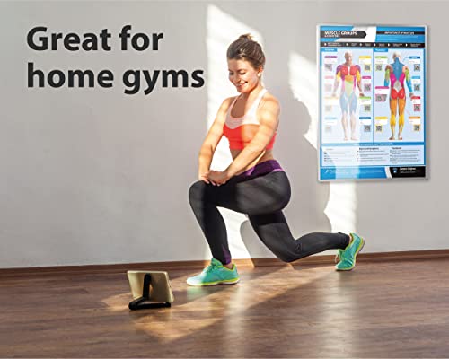 Set of 7 Gym Workout Posters - Laminated Muscle Group Exercise Charts with Free Video Guides, Dumbbell, Kettlebell and Barbell Exercise for Full Body Training and Home Gym Fitness Room Décor