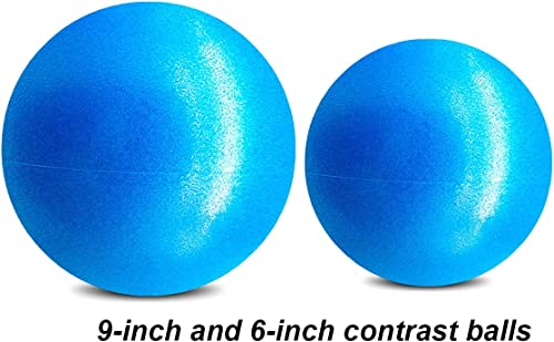 6 Inch Exercise Pilates Mini Yoga Balls Barre for Home Stability Squishy Training Physical Therapy Improves Balance Core Strength Comes with Pump(Grey,6 Inch)