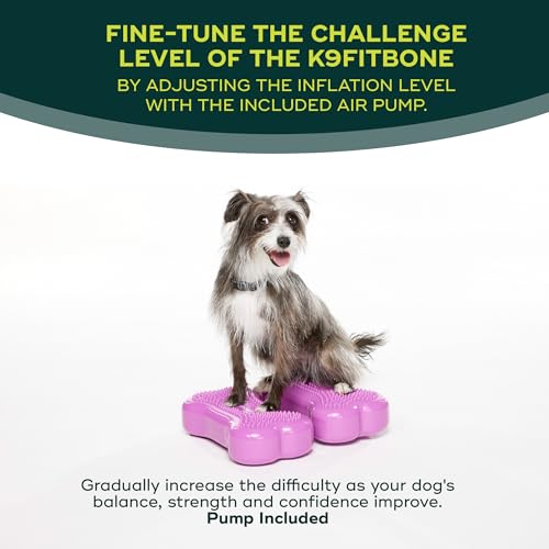 FitPAWS® K9FITbone® - Mini, Razzleberry (Set of 2) | Dog Balance Training Platform & Exercise Equipment | Workout Tool for Strength, Core & Stability - color: Razzleberry
