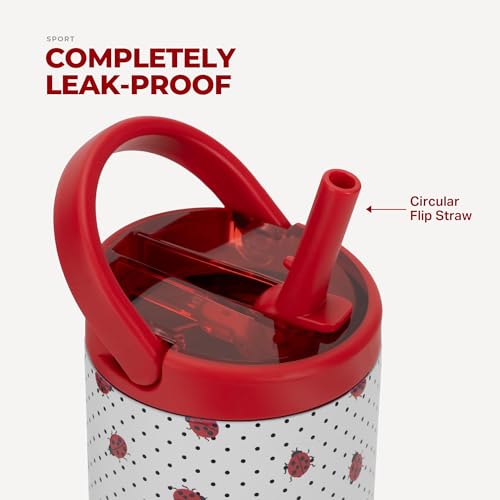 HydroJug Sport 14 oz Insulated Kids Water Bottle with Straw, Ladybug - color: Ladybug, size: 14oz