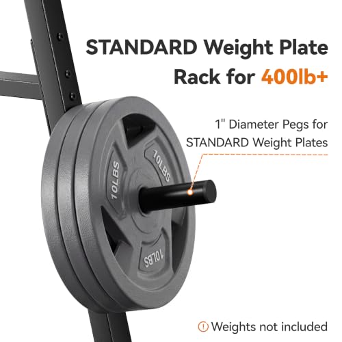Weight Rack for Home Gym, 400 LB Weight Tree - size: for Standard Weight Plate