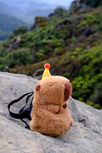Rock Climbing Chalk Bag – Cute Plush Chalk Bag for Bouldering, Gym, Indoor & Outdoor Climbing – Drawstring Closure, Adjustable Waist Belt – Fun Character Design for Climbers - color: Capybara Birthday