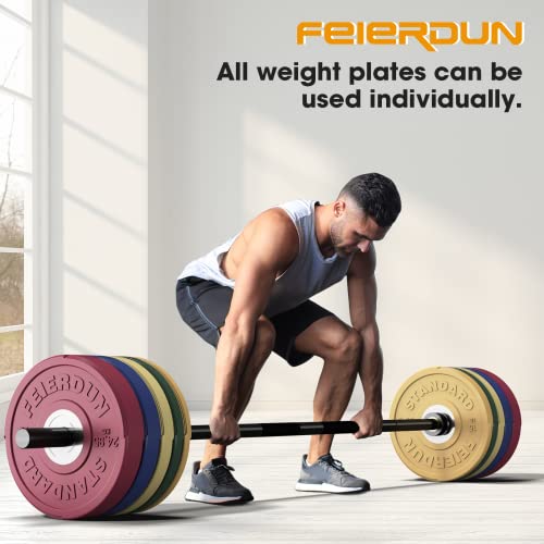 FEIERDUN Color Bumper Plate Set, 2-Inch Olympic Weight Plates, Low Bounce Rubber Barbell Plates with Stainless Steel Insert for Weightlifting, Strength Training, CrossFit & Home Gym, 10LB-370LB - style: H) 100LBS NEW SET
