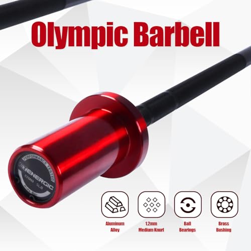 Kids Barbell 5LB Mini Barbell Bar 4ft for Beginner Women & Kids Weighted Bar, Compatible with 2-Inch Weight Plates, for Strength Training Gym Weight Lifting - color: Black&Red