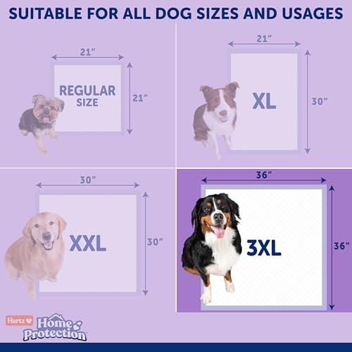 Hartz Home Protection Super Absorbent Odor Eliminating Lavender Scented No Leak Dog Pads, 3XL 14 Count - size: 3XL 36 x 36 (14 Count)
