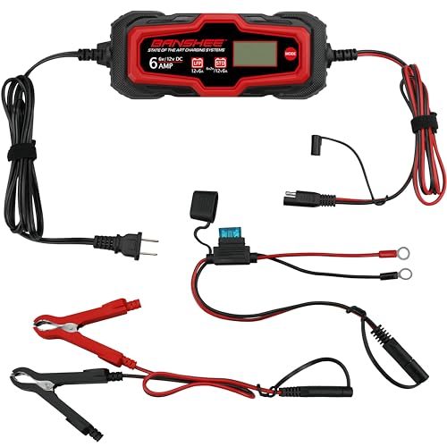 Smart Battery Charger, Maintainer, and Desulfator 6 Amp 6V/12V - for Cars, Trucks, SUVs, RVs- Standard & Absorbed Glass Mat Lead Acid (Wet, STD, AGM) & LiFePO4 Batteries- LCD Display, SAE Connectors