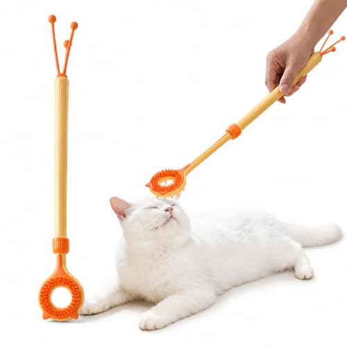 3-in-1 Cat Scratcher & Massage Stick with Teaser Tassel, Dual-Sided Grooming Brush, Handheld Tool for Loose Fur, Indoor Cats