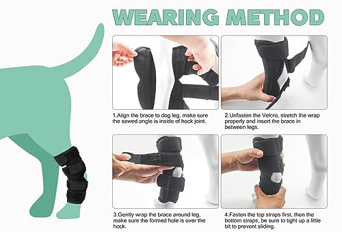 Dog Leg Brace for Rear Hock Joint, Compression Wrap Strong Support Back Leg for Canine Torn Acl & Ccl, Hind Ankle Injury and Sprain Heals, Keeps Warm and Stability for Arthritis (M) - size: M-Right