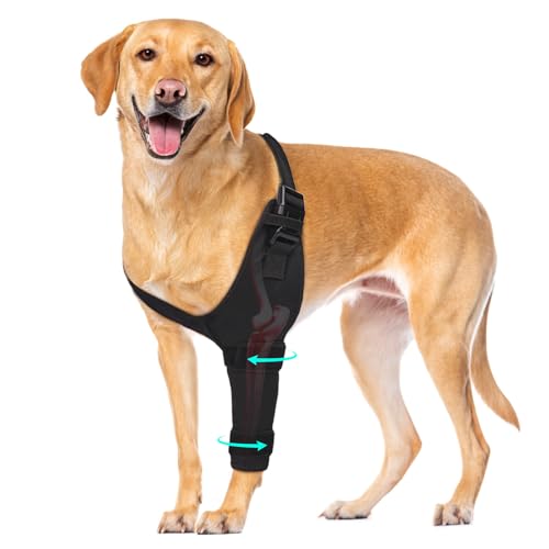 Dog Elbow Protector Brace, Dog Leg Sleeves Anti-Licking for Arthritis, Hygroma, Pressure Sores, and Calluses, Dogs Elbows Pads & Shoulder Brace for Elbow Dysplasia and Injury Recovery, Left M - size: M
