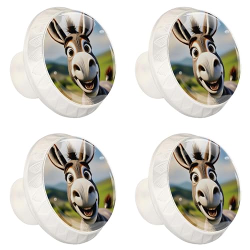 4 Pack White Cabinet Knobs, Donkey Drawer Handles for Cabinets, Dresser, Cupboard, Bathroom, Bedroom, Kitchen Hardware Closet Door Knob - color: Donkey
