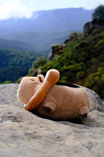 Rock Climbing Chalk Bag – Cute Plush Chalk Bag for Bouldering, Gym, Indoor & Outdoor Climbing – Drawstring Closure, Adjustable Waist Belt – Fun Character Design for Climbers - color: Capybara Bread (long)