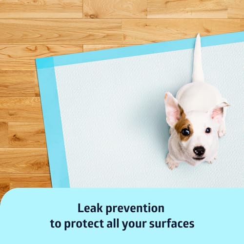 Medline Light Absorbency Underpad, 23" x 36", 50 Count, Disposable Bed, Furniture & Surface Protection, For Kids, Adults, Elderly, Puppy Pad, Changing Pad, Incontinence Pee Pad, Chucks - size: 23" x 36" (50 count)
