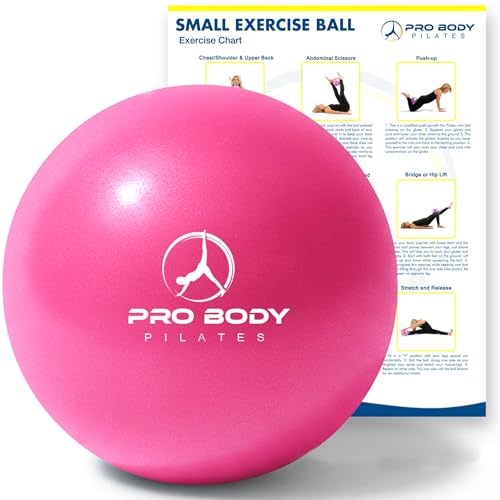 ProBody Pilates Small Exercise Ball - 9 Inch Workout Ball for Stability, Barre, Yoga, Core & Physical Therapy - color: Pink