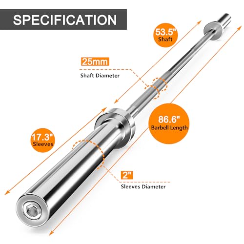 Holleyweb 2 Inch EZ Curl Bar for Biceps, Squats, Bench Press - Olympic Bar for Weightlifting & Powerlifting - color: Sliver, size: 86.6in/500lbs