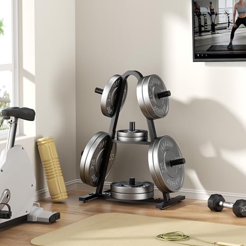 Weight Plate Rack 400LBs, Weight Tree Holder for Home Gym, Barbell & Bumper - size: for Olympic Weight Plate