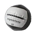 Dynamax Medicine Ball, Hefty II, 18 Pounds, Black/Gray (24018)