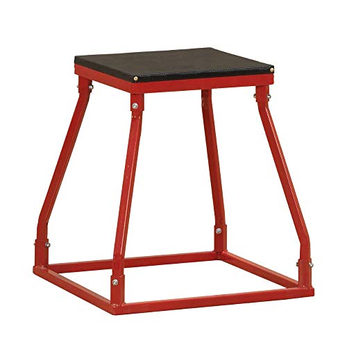Body-Solid Tools Steel Frame Plyo Box - Ideal for Plyometric Jump Box Workouts, Step Up Exercises - Essential Equipment for Home Gym - style: 24-Inch