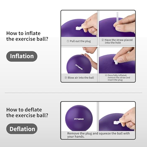FITMIND_Pilates Ball 10 Inch Anti-Burst Slip Resistant Mini Yoga Ball for Fitness, Core Training, Physical Therapy, Balance, Stability, Stretching 200kg 440lbs Capacity - color: Purple