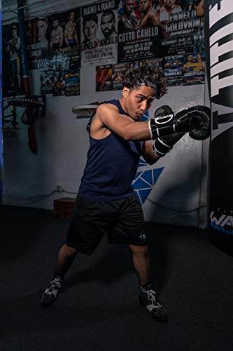 Pro Mex Professional Training Gloves V 3.0 - color: Black, size: 14 oz