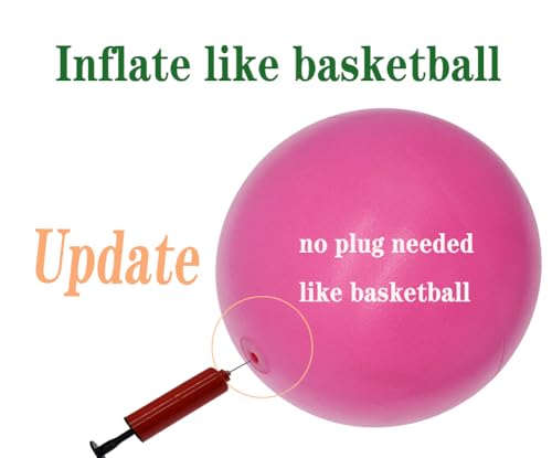 CIZEBO 6" Pilates Ball, Small Exercise Ball & Air Pump Yoga Core (8" Opt) - color: Pink, size: 8 inch