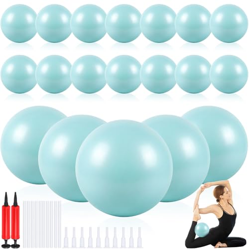 Aoriher 10 Pack 9 Inch Small Pilates Ball Bulk Mini Exercise Ball Portable Non-Slip Workout Yoga Balls with Air Pump for Stability, Barre, Fitness, Balance, Physical &Core, Gym Home Office Use - color: Mint Green