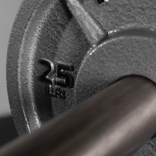 Titan Fitnes Cast Iron Olympic Plates, Classic Weight Plate Design, Hammer Finish - size: 25 LB Pair