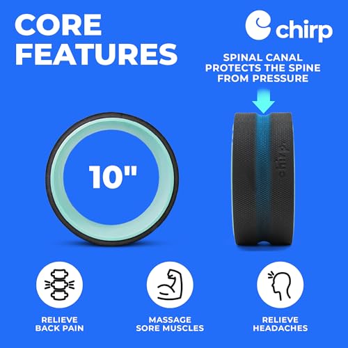 Chirp Wheel+ Foam Roller, Back & Neck Pain Relief, Mint 10-Inch - size: 10" - Medium